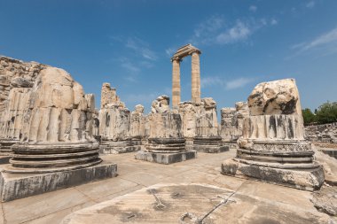 Antik şehir, didyma Apollon Tapınağı