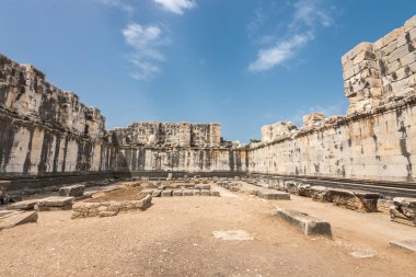 didyma antik Apollon Tapınağı kalıntıları