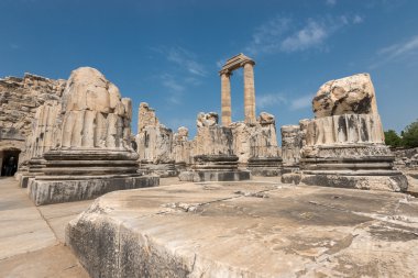 didyma antik şehirde Apollon Tapınağı