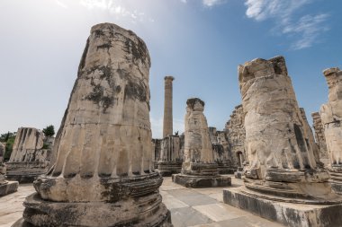 Dev sütunların didyma antik Apollon Tapınağı kalıntıları