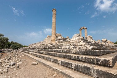 didyma antik Apollon Tapınağı kalıntıları