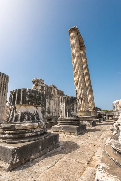 Ruinas de columnas gigantes del antiguo templo de Apolo en Didyma — Foto de Stock