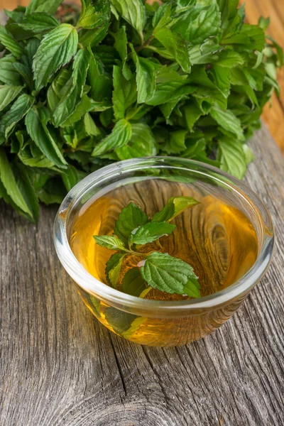 Mint tea with fresh mint leaves — Stock Photo, Image