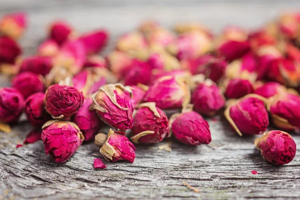 Close up of rose buds — Stock Photo, Image