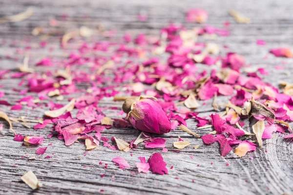 Gül yaprakları ve kuru tomurcukları ile arka plan