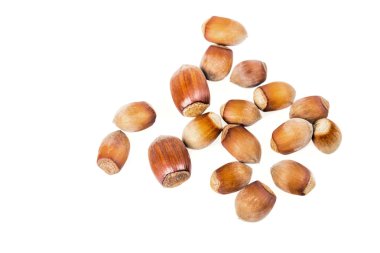 fındık veya fındık fındık üzerinde beyaz bir arka plan kesme izole