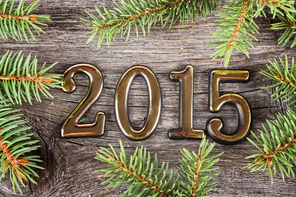 Nieuwjaar frame met fir decoraties — Stockfoto