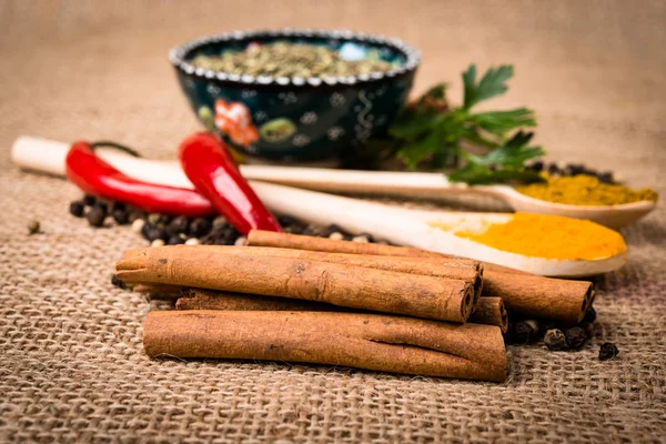 Gewürze. Zimt, Anis, scharfe Chilischoten und Kräuter — Stockfoto