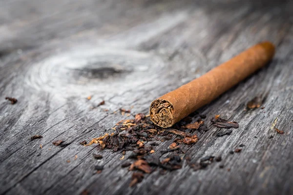 Cigar with tobacco leaves — Stock Photo, Image