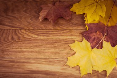 Ahşap arka planda akçaağaç yaprakları