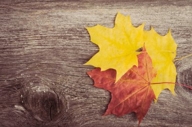 Ahşap arka planda akçaağaç yaprakları