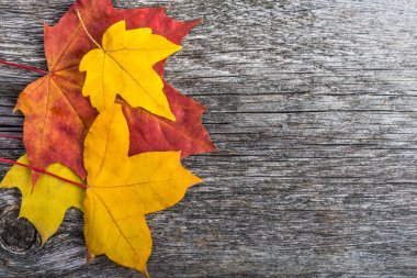 Ahşap arka planda akçaağaç yaprakları