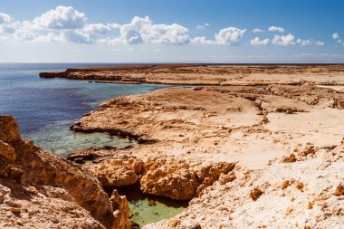 Sahili Milli Parkı Ras Mohammed Sina ', Egypt.