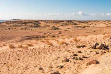 çöl RAS mohammed national park