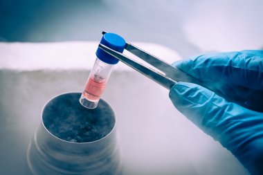 Scientist working in Liquid Nitrogen bank with suspension of stem cells. clipart