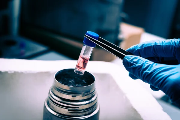 Forskare som arbetar i flytande kväve bank med suspension av stamceller. — Stockfoto