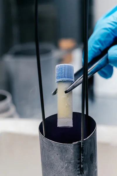 Hücre süspansiyon ve sperm cryobank üzerinde dondurma — Stok fotoğraf