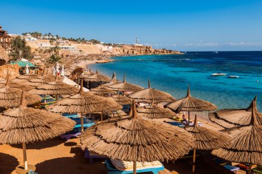 Mercan, Sharm El Sheikh Plajda şemsiye