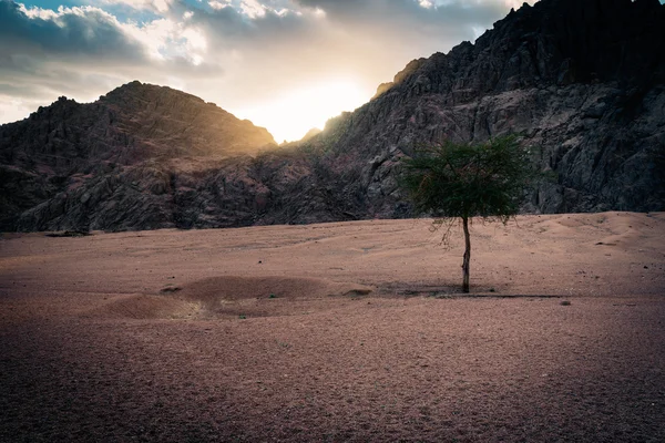 Montanhas fantásticas e nuvens ao pôr do sol — Fotografia de Stock