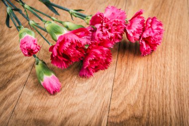 Ahşap arka plan üzerinde taze pembe karanfil