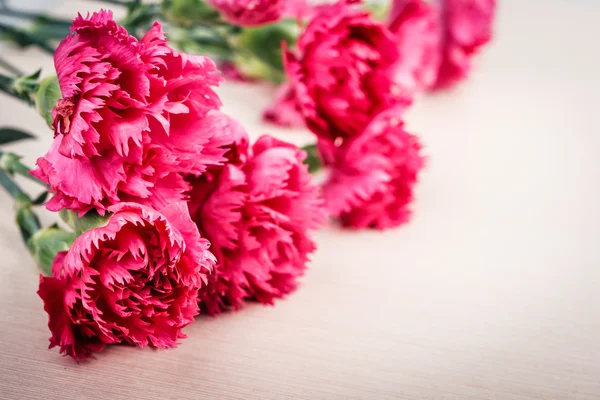 Boeket van roze anjer — Stockfoto