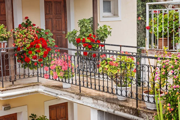 Flores frente a una casa griega tradicional — Foto de Stock