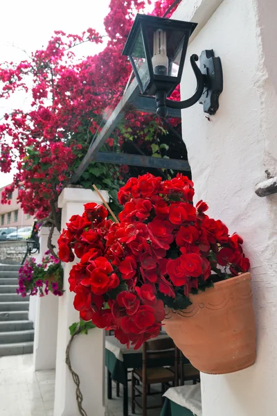 Café griego con linterna y flores begonia del Corfú — Foto de Stock