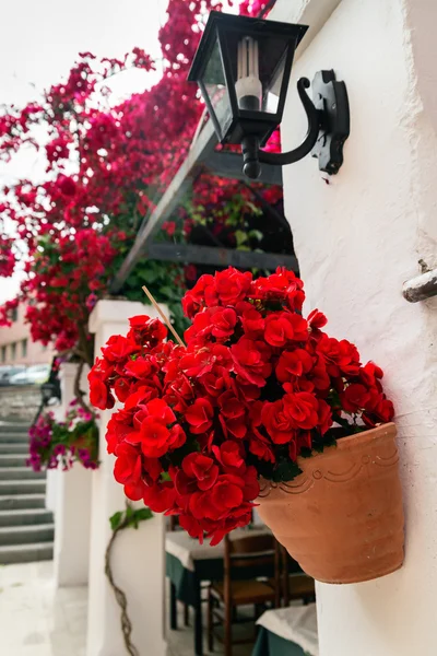 Caffè greco con lanterna e begonia fiori di Corfù — Foto Stock