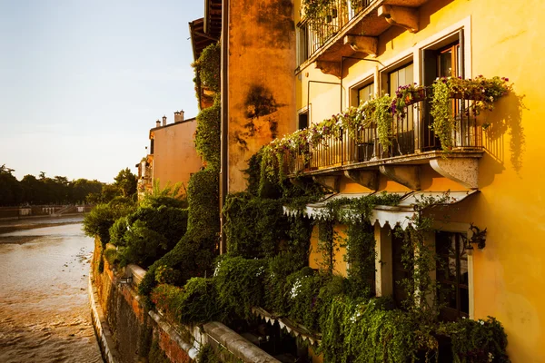 Edificios de color de Verona al atardecer — Foto de Stock