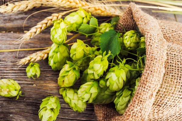 Hopfen und Weizen auf einem Holztisch. — Stockfoto