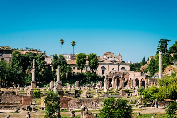 Ruïnes van het Romeinse forum, rome — Stockfoto