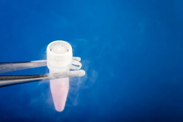 uzun süreli depolama için süspansiyon ile cryovial.