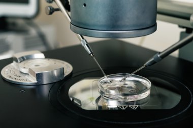 in vitro fertilization process close up.  Equipment on laboratory of Fertilization, IVF. clipart