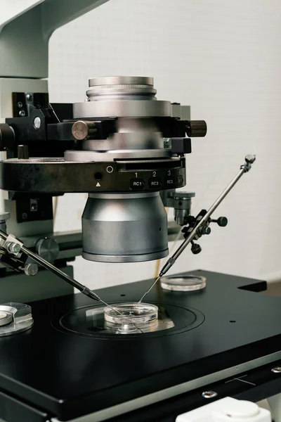 Processo de fertilização in vitro de perto. Equipamento em laboratório de Fertilização, IVF . — Fotografia de Stock