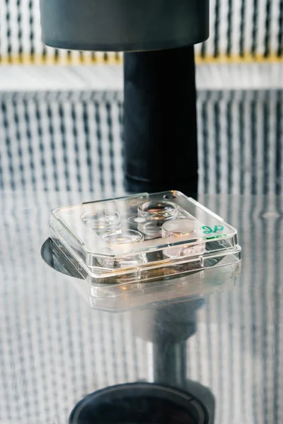 in vitro fertilizasyon işlemi kapatın. Laboratuvar ekipmanları gübreleme, tüp bebek.