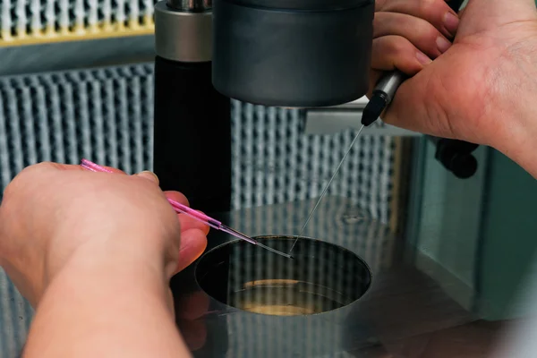 in vitro fertilizasyon işlemi kapatın. Laboratuvar ekipmanları gübreleme, tüp bebek.