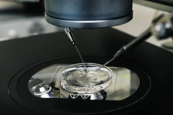 In vitro bevruchting proces close-up. Uitrusting op laboratorium van bevruchting, Ivf. — Stockfoto