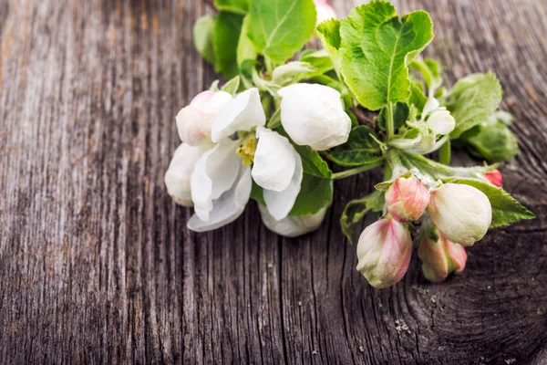 Fleurs de pomme sur fond en bois . — Photo