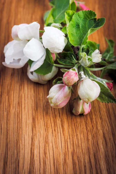 Flores de manzana sobre fondo de madera . —  Fotos de Stock