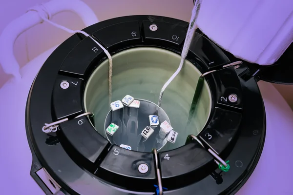 Una banca di azoto liquido contenente sperma e campioni di uova. Attrezzature su laboratorio di Fecondazione, FIV . Foto Stock Royalty Free
