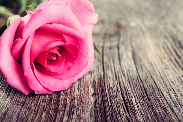 Розы на старинном деревянном фоне . — стоковое фото