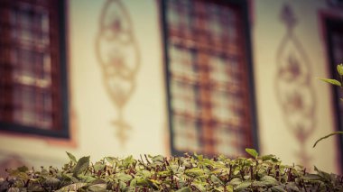 Kırım 'daki Bakhchesaray şehrinde 1. Sahib-Girey tarafından inşa edilen Kırım Hansarayı ya da Kırım Hanları Sarayı' nın süsleme unsurları..