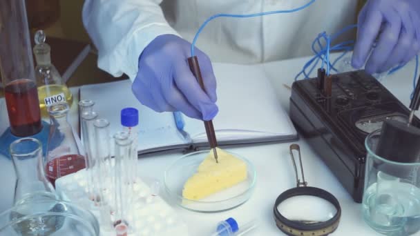 식품 안전 연구소, 과학자들의 개념. 조사 관은 실험실에서 치즈에 대한 질높은 연구를 수행 한다. — 비디오