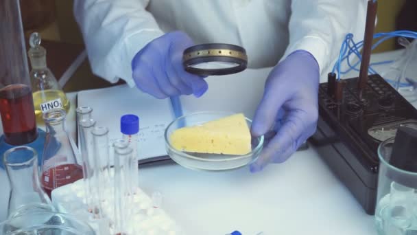 Laboratorium voor voedselveiligheid, wetenschappelijk concept. De inspecteur doet kwaliteitsonderzoek naar de kaas in het laboratorium. — Stockvideo