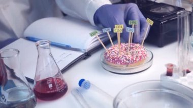 Gıda güvenliği laboratuvarı, bilim adamı konsepti. Müfettiş laboratuarda araştırma yapıyor. Masadaki çörek E 'nin katkı maddelerinin isimleriyle süslenmiş..