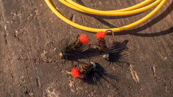 Foto Fliegenfischen Reel Eine Gut Gebrauchte Angelrolle Ist Vor Einem — Stockfoto