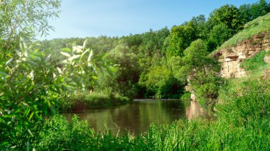 Dağları, ormanı ve önünde bir nehri olan bir manzara. Güzel manzara.