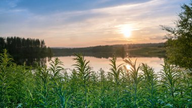 Fotoğraf yeşil çimen gün batımı. Güzel bir tarla ve bir yaz günü gibi.