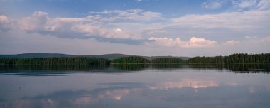 yaz göl kenarında orman.