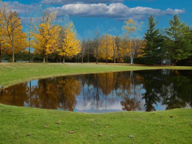 Caledon, Ontario 'da güzel sonbahar manzarası